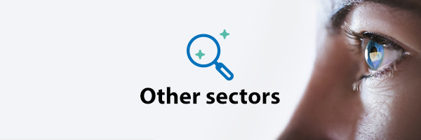 Other Sectors