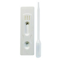 Pregnancy Testing Pregnancy Testing