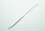 Sounds - Uterine Plastic - Combined Sound/Dilator x 10