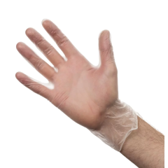 Vinyl Gloves